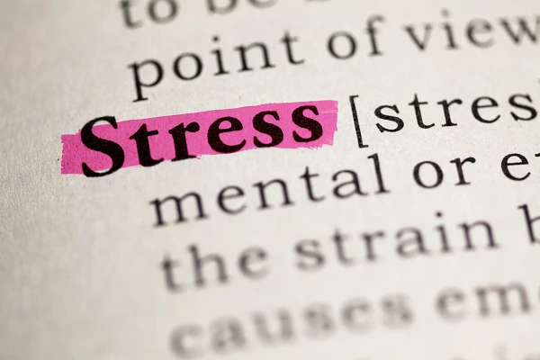 The image shows the word "Stress" highlighted in pink in a dictionary entry.